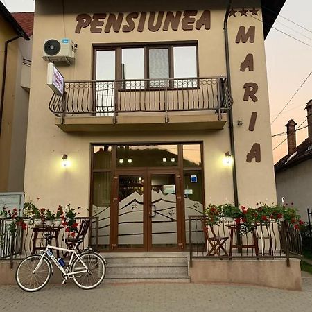 Pensiunea Maria Călimăneşti Dış mekan fotoğraf